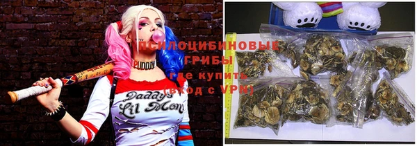 дмт Новый Уренгой