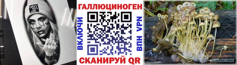 Псилоцибиновые грибы Magic Shrooms  Киров 