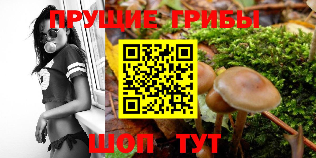 Псилоцибиновые грибы Cubensis  Вход с VPN  купить наркоту  Галлюциногенные грибы MAGIC MUSHROOMS  Киров 